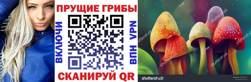 Псилоцибиновые грибы MAGIC MUSHROOMS  где найти наркотики  hydra ССЫЛКА  даркнет состав  Миньяр 
