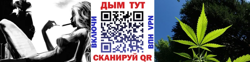 Бошки Шишки конопля  Миньяр 